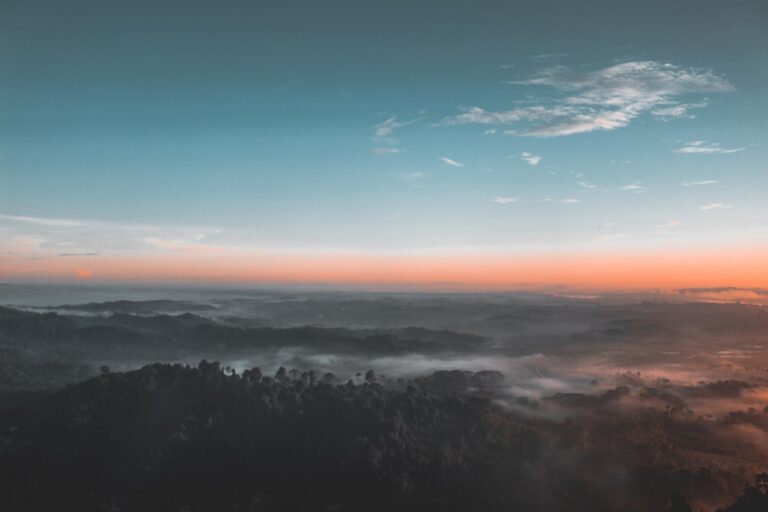 SHOWS bird s eye view photography of green forest 1208379.jpg